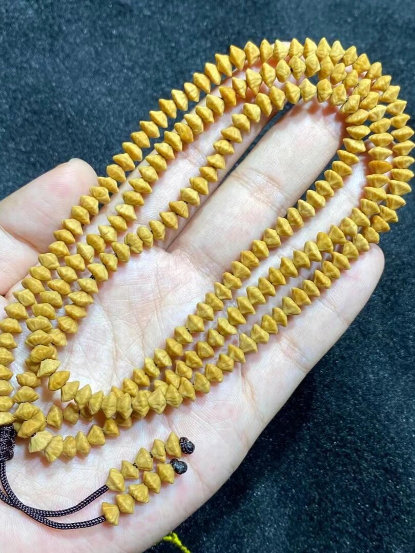 新品金叶莲花菩提已到高端玉化籽,招财神器油性足密度高已玉华效果