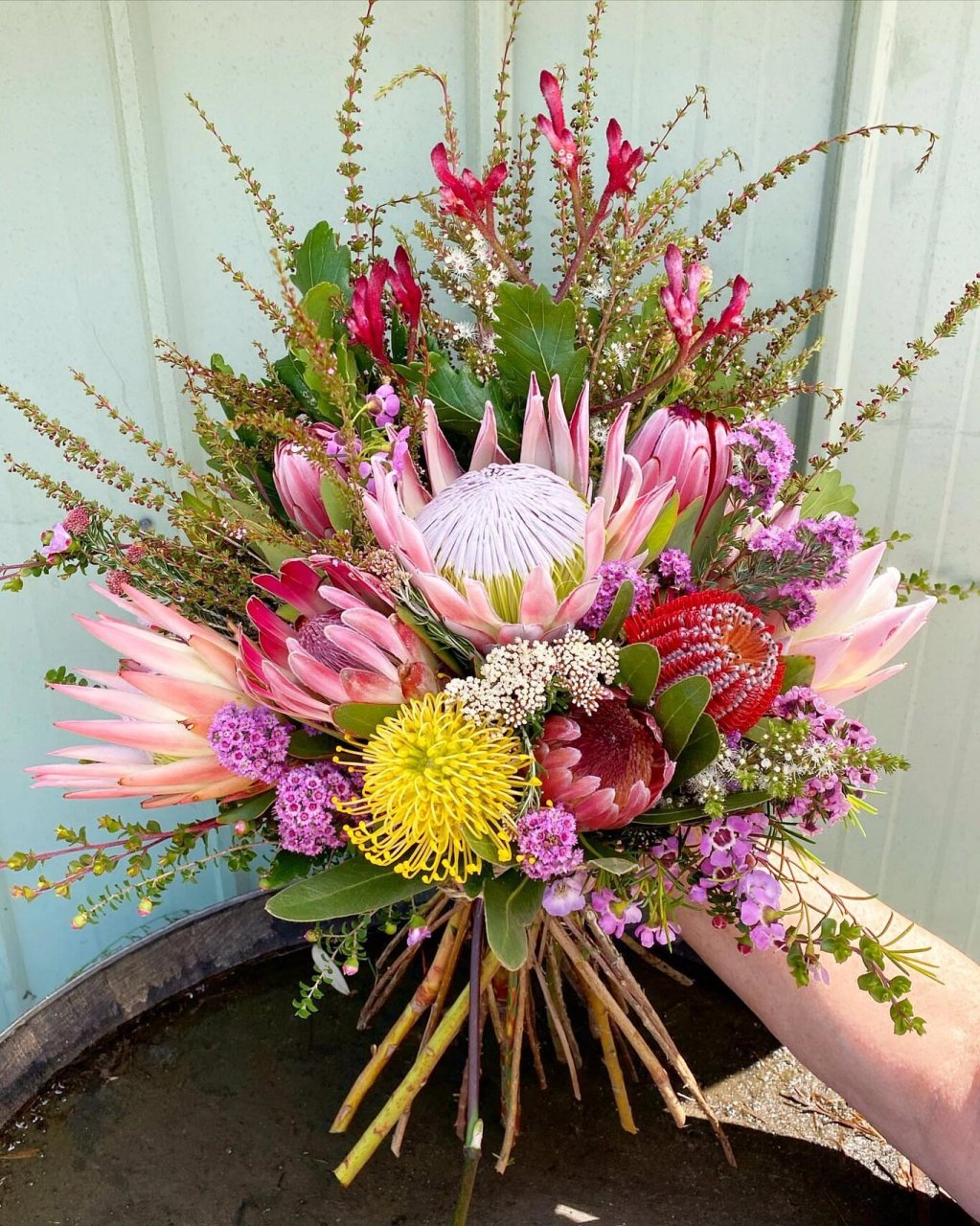 ins分享||花中之王95天生贵族～帝王花束 72帝王72 花语:胜利