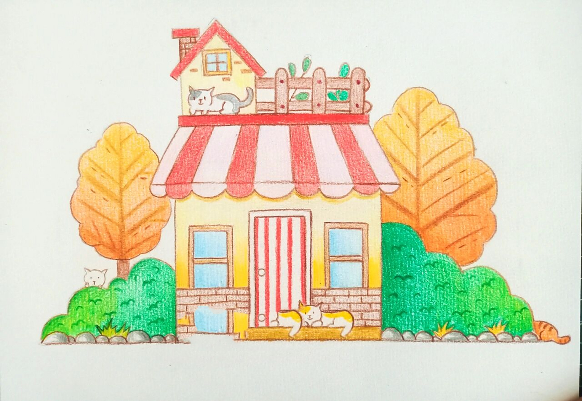 彩铅画入门简单手绘漂亮的房子小屋猫咪 临摹的,非原创,线稿在主页哦
