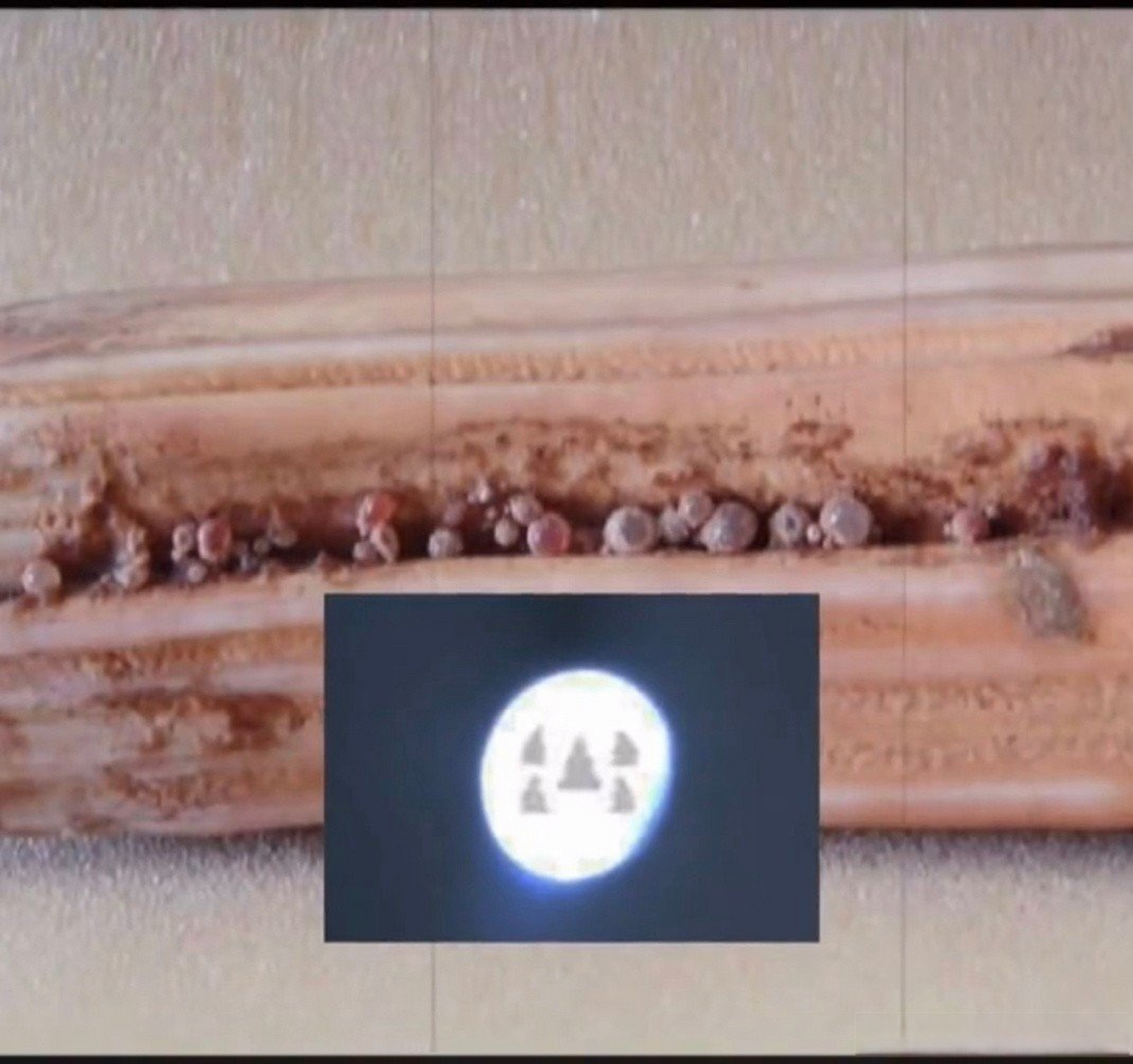 [蜡烛]佛牙舍利:在比利时实验室检测,在高倍显微镜下发现5尊佛像周围