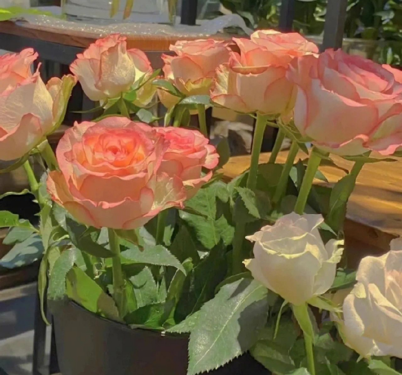 玫瑰花头像 玫瑰花头像