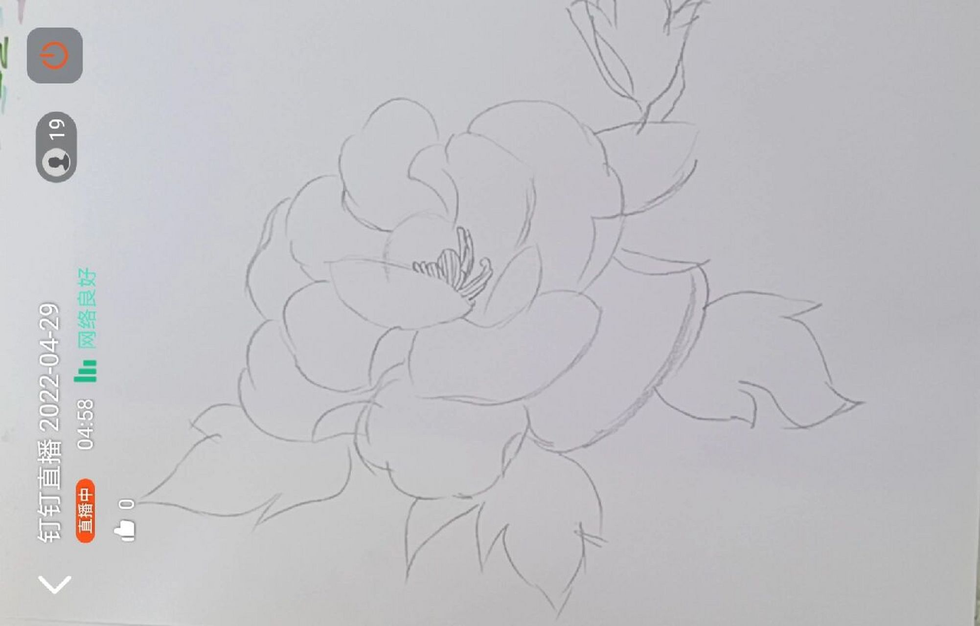 牡丹花马克笔保姆式教程 大家会废了吗