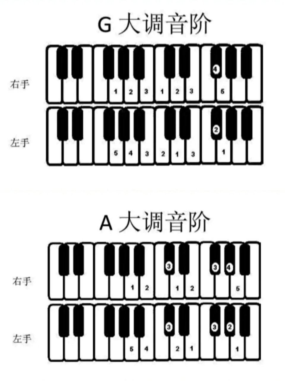 大调音阶图解93快速掌握音符位置,指法75 学钢琴音阶,除了练习