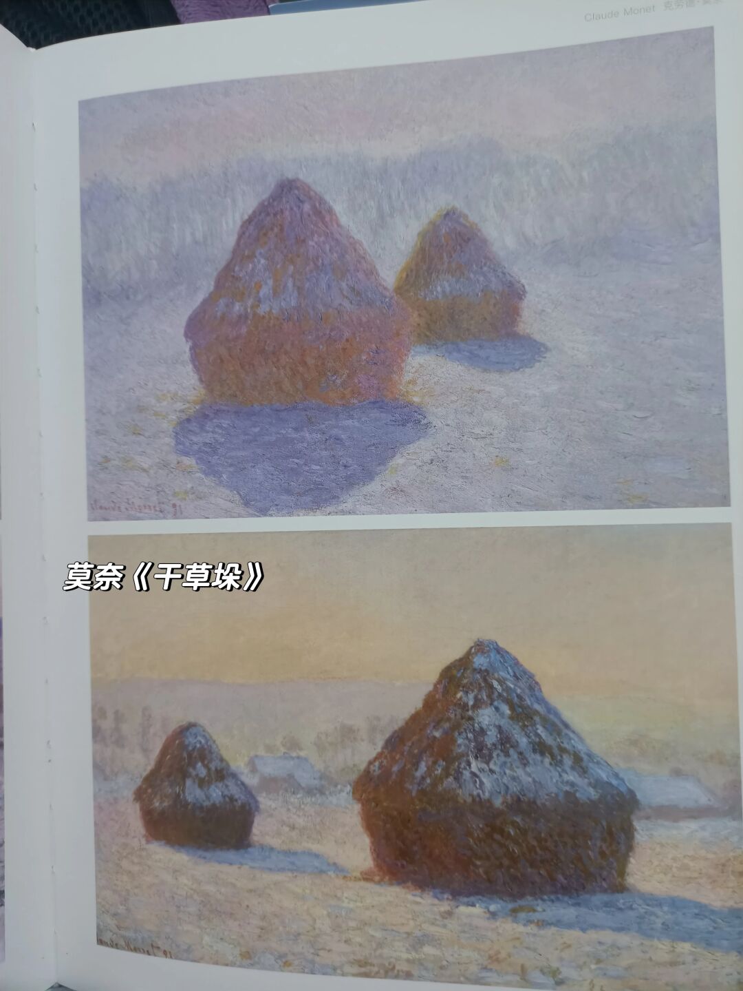 看完莫奈的作品《干草垛》系列的配色深得我心于是也想拍点同款图片