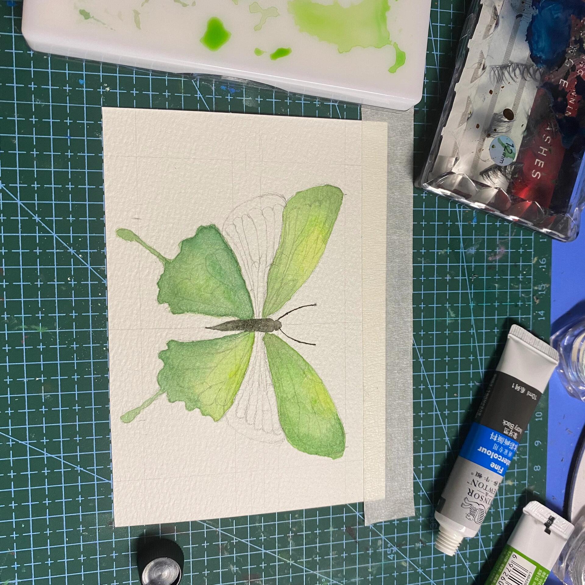 03水彩蝴蝶03|附步骤图 蝴蝶 butterfly 〔英] 迈克尔 61布洛克