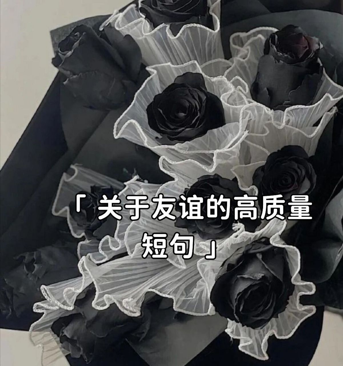 文案短句/友谊 至死不渝的友谊 永远不逊色于爱情