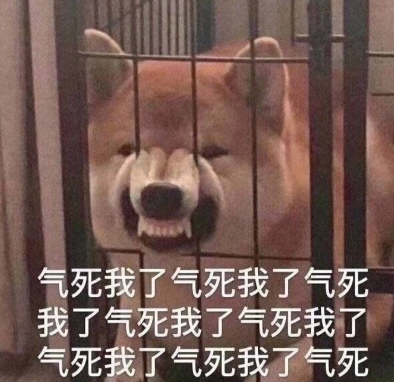 生气表情包,暴怒干架必备