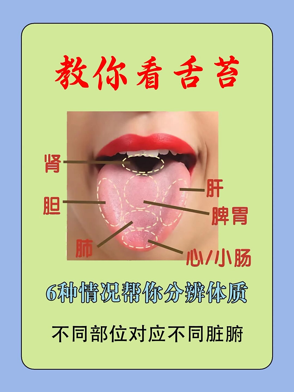 中医舌诊中对应的五脏各是什么 1,舌尖对应心肺 2,舌中对应脾胃 3