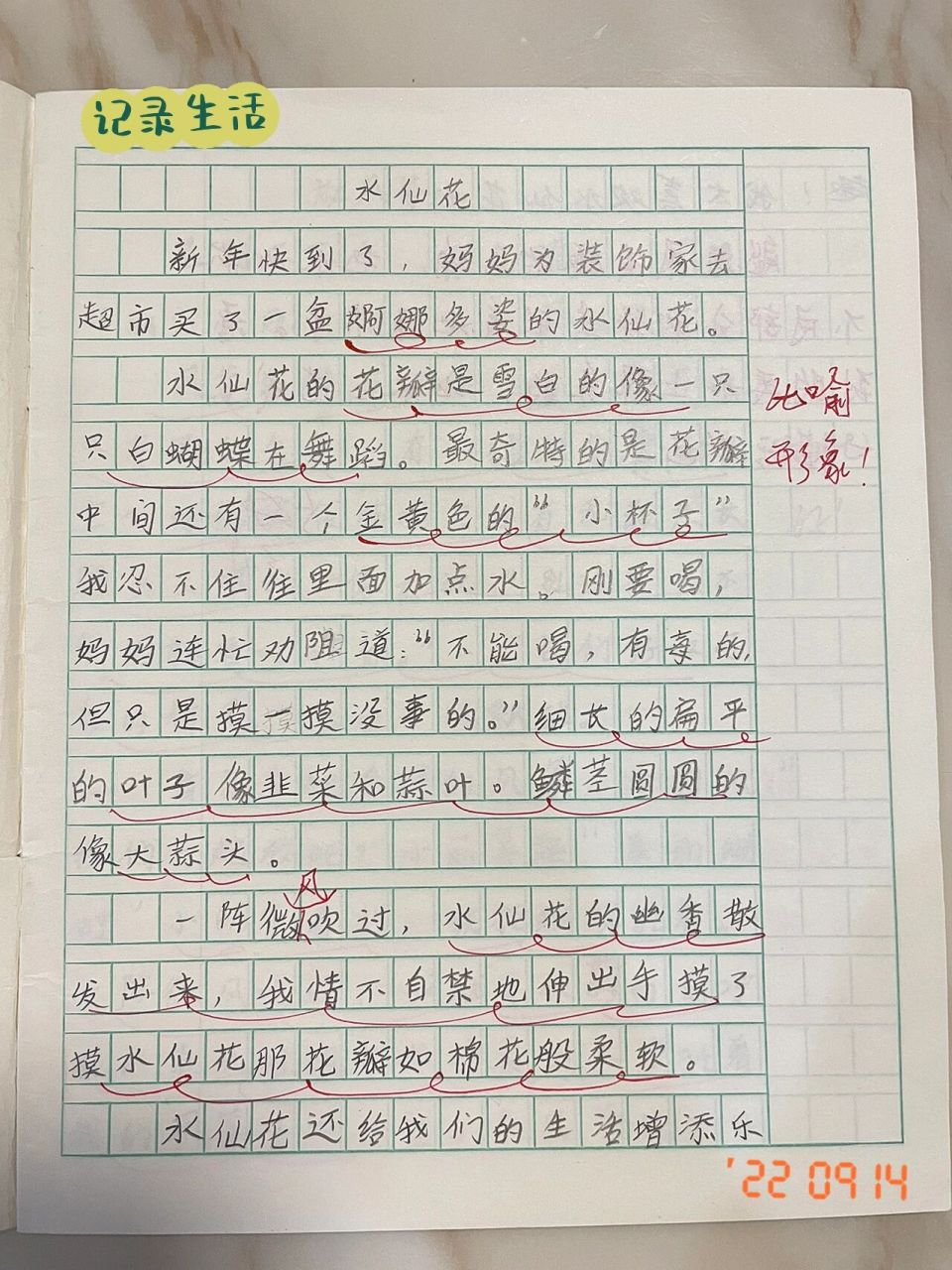三年级作文  三年级作文-——我的植物朋友 水仙花