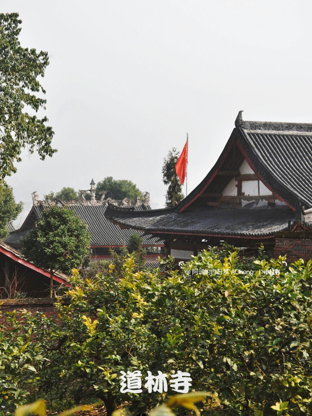 安岳道林寺