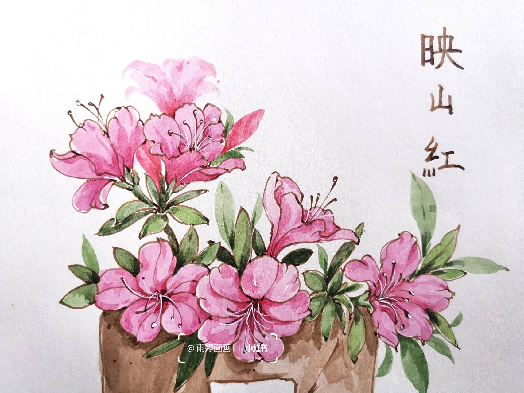 【钢笔淡彩】映山红 图片来自 感谢 笔,烂笔头美工笔 墨,曲折花墙