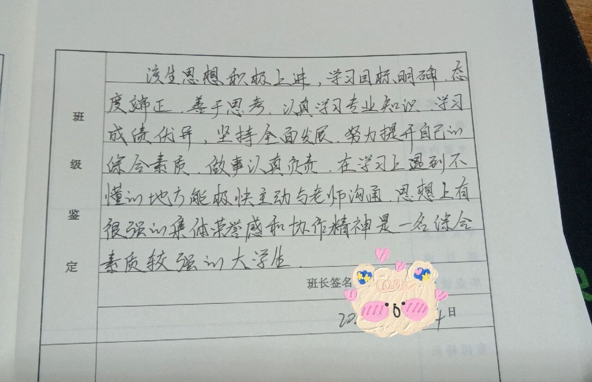 大学生毕业登记表,班级鉴定
