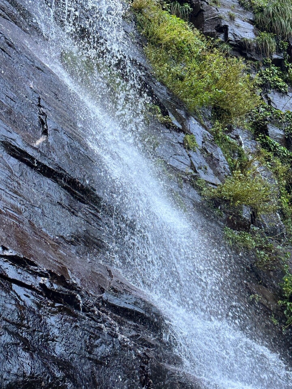 纳雍吊水岩瀑布图片