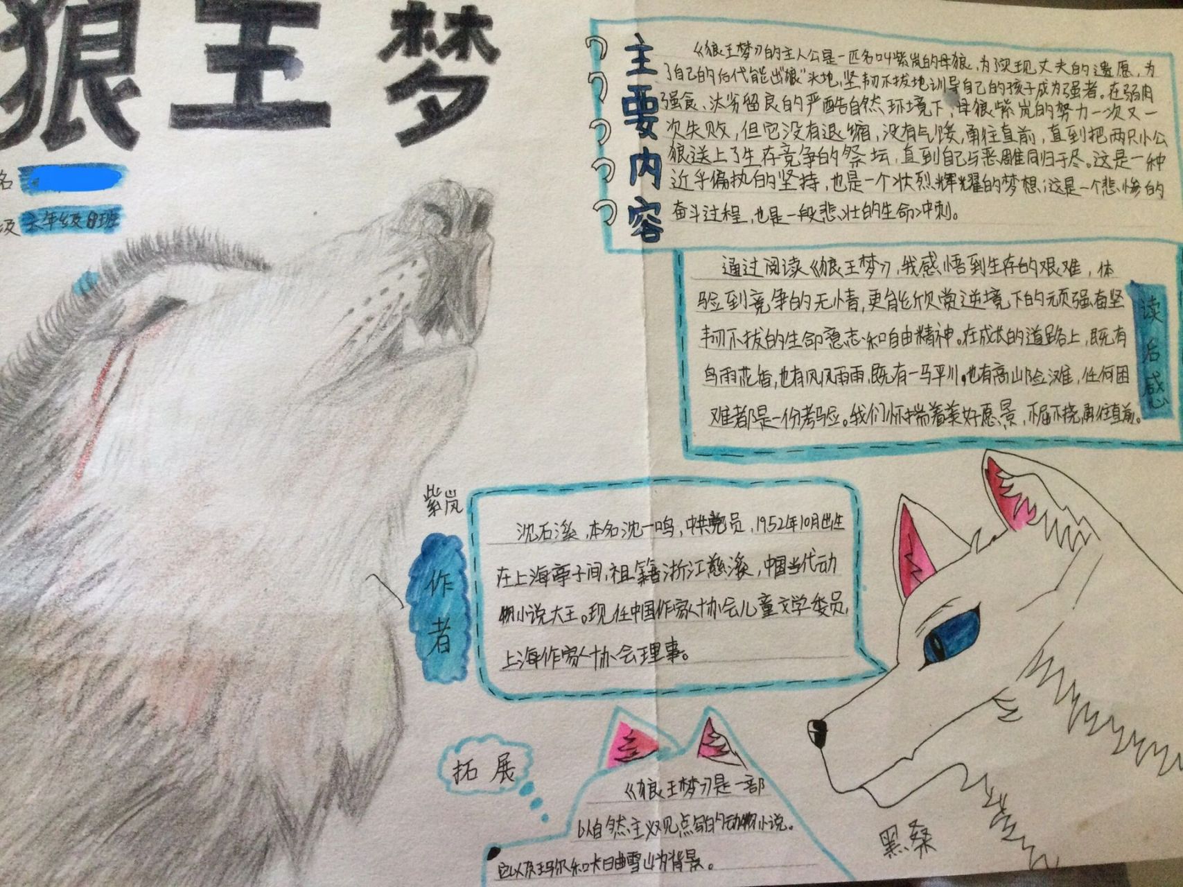 《狼王梦》手抄报的资料终于写完了(没上完色)