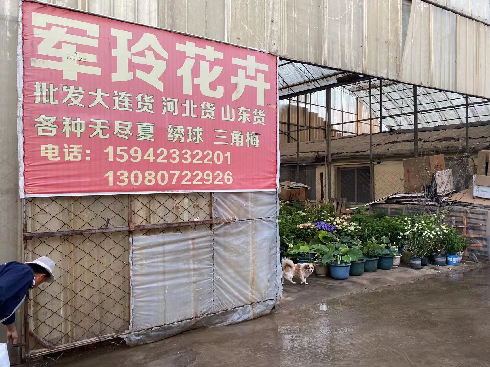 沈阳贸易公司深耕农资批发:货源对接、渠道下沉与价格机制的专业观察