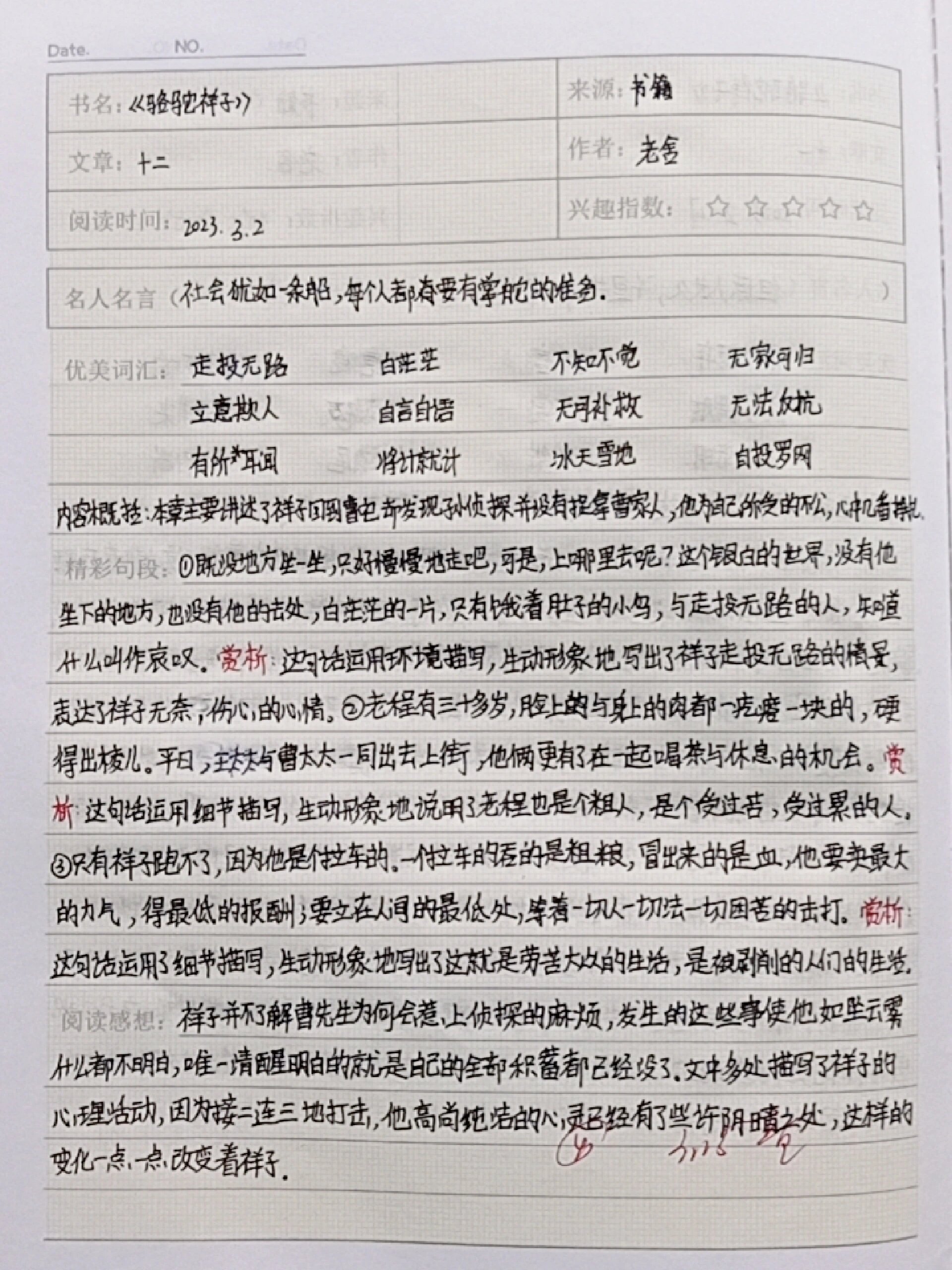 《骆驼祥子》第12章读书笔记