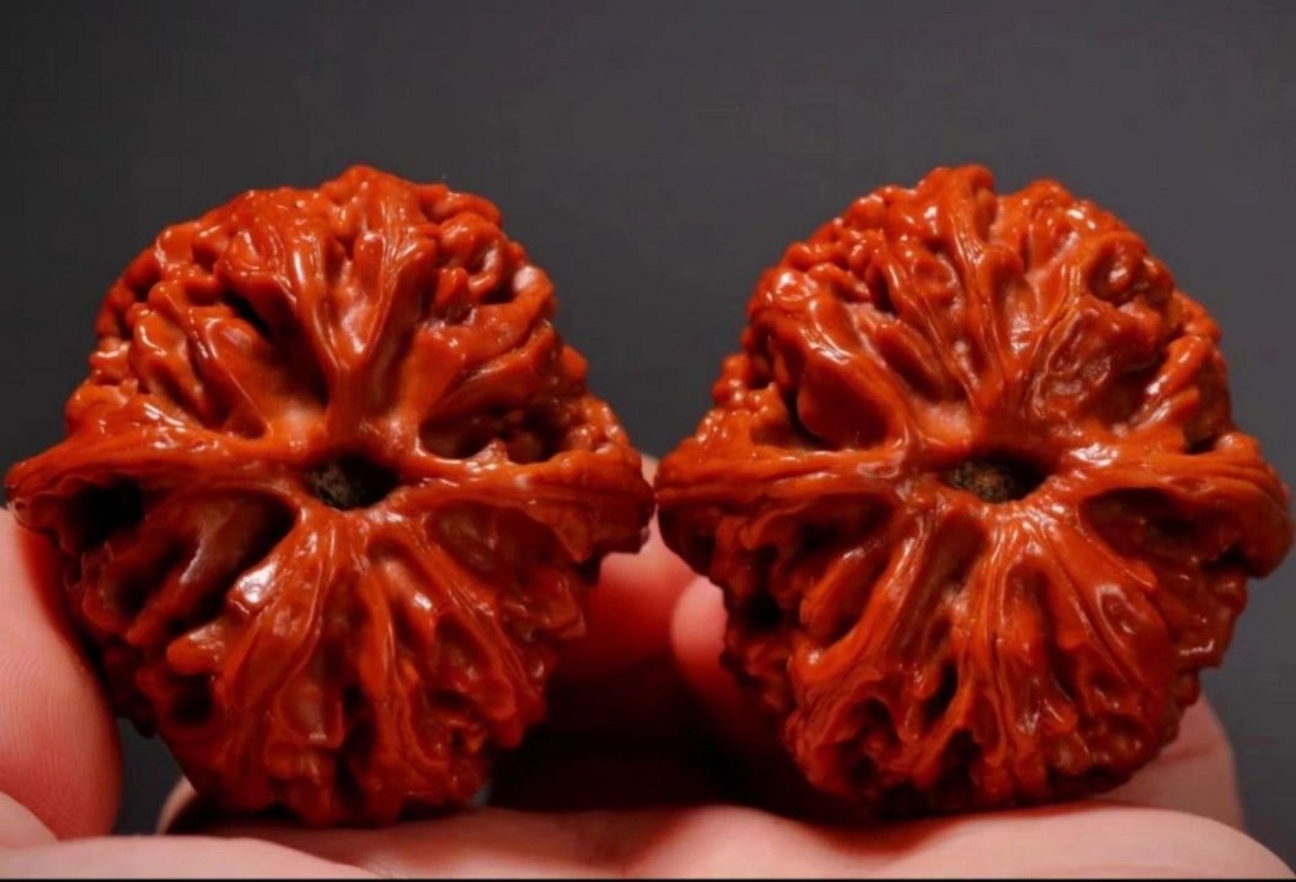 文玩核桃品种介绍(三)苹果园狮子头 苹果园狮子头 原产地02北京