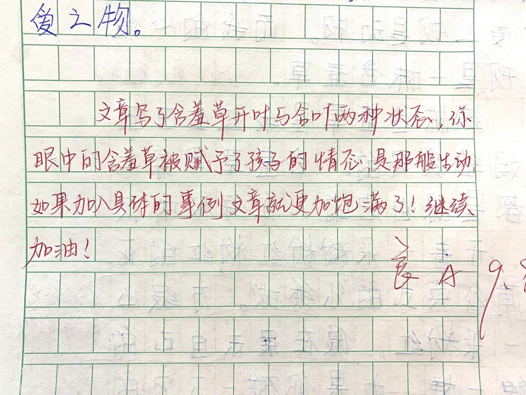 小学生作文评语丨我的心爱之物 小学生作文评语丨我的心爱之物