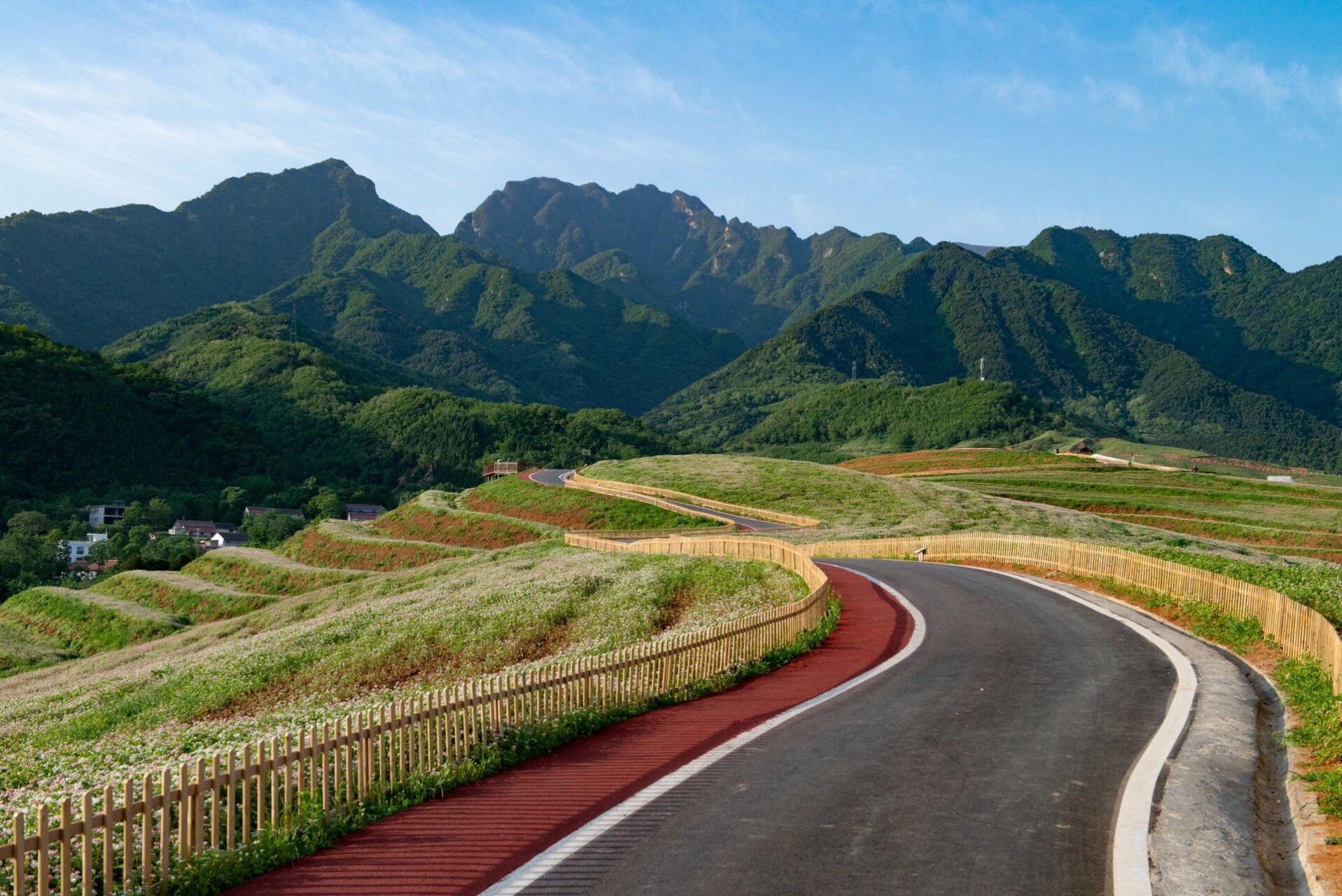 西安 蓝田荞麦岭 距离市区80余公里,有这么一片美好的荞麦田,现在正是
