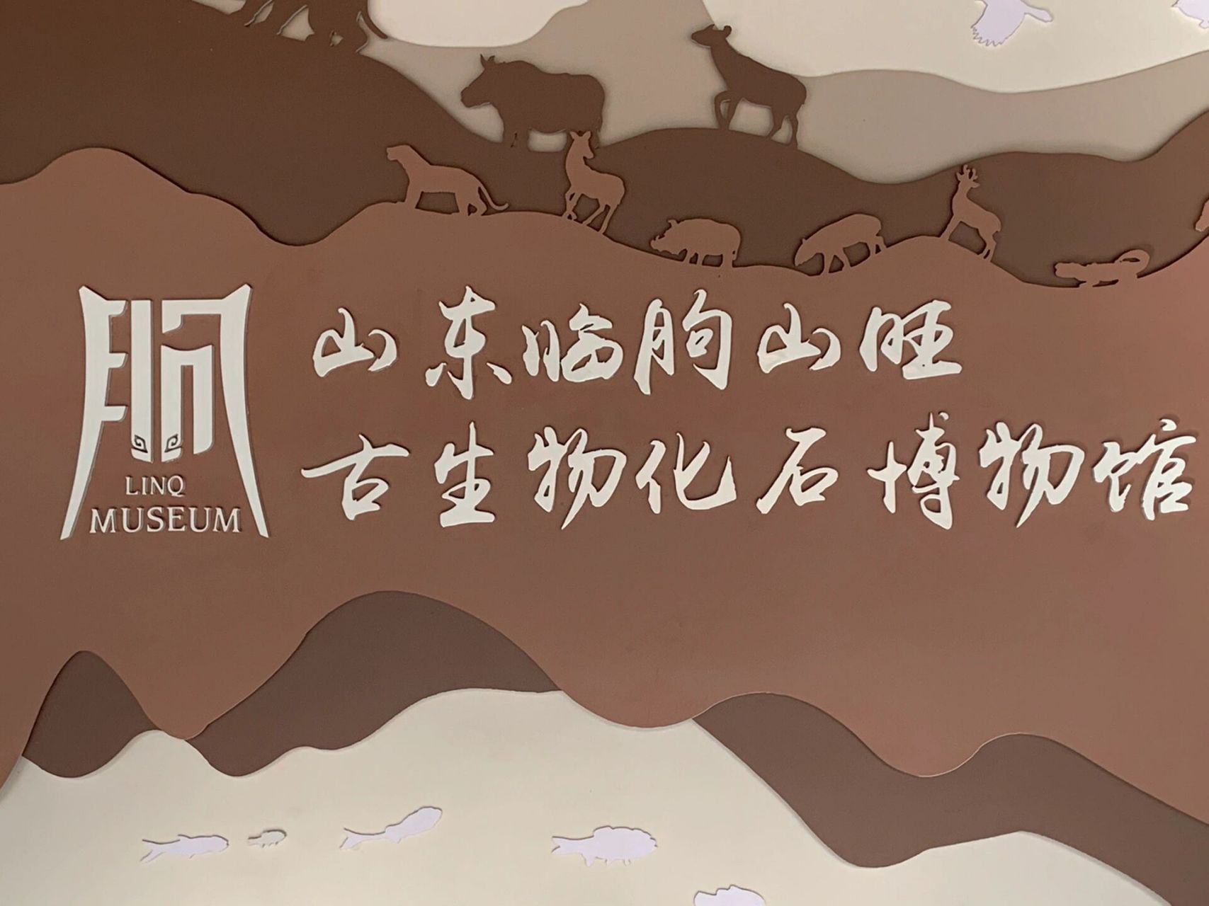 山东临朐县博物馆及山旺化石博物馆    山旺化石,又称山旺古生物化石