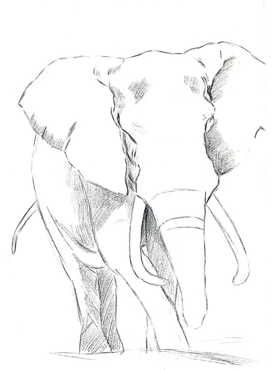 精微素描-大象‖象(有步骤) 适合9岁以上 作品纸张: 4k 步骤: 1,用