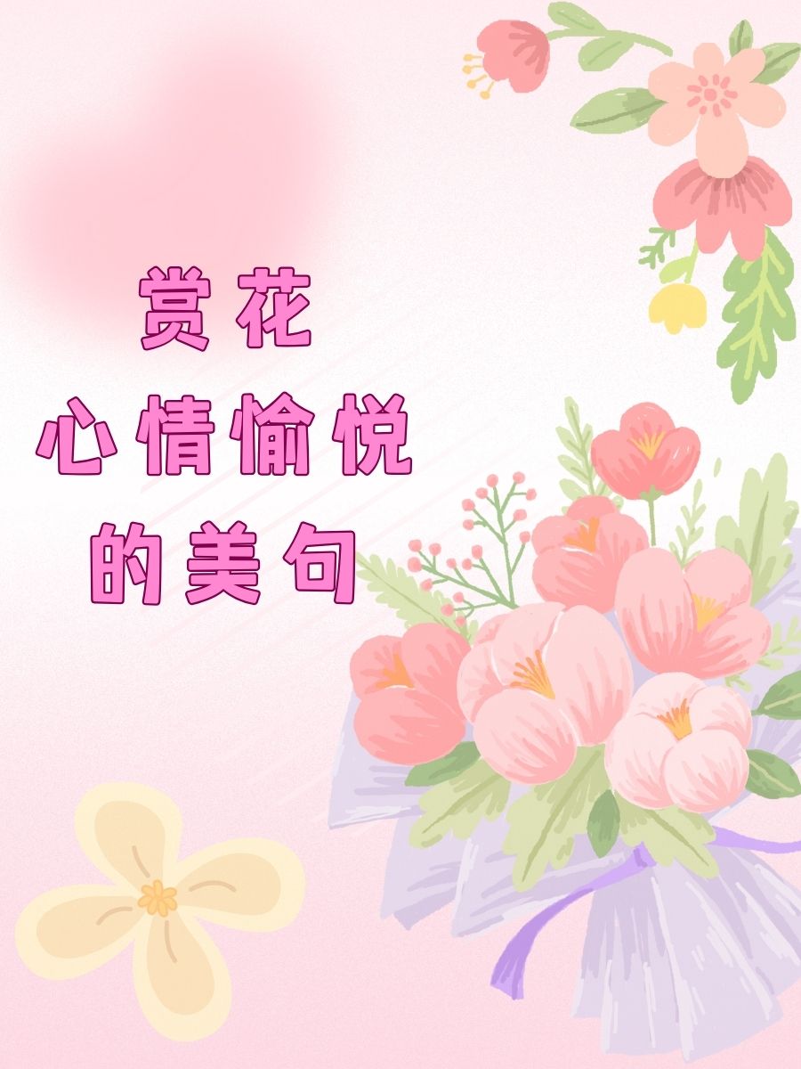 世间万物,唯有花开,让心在花海中荡漾