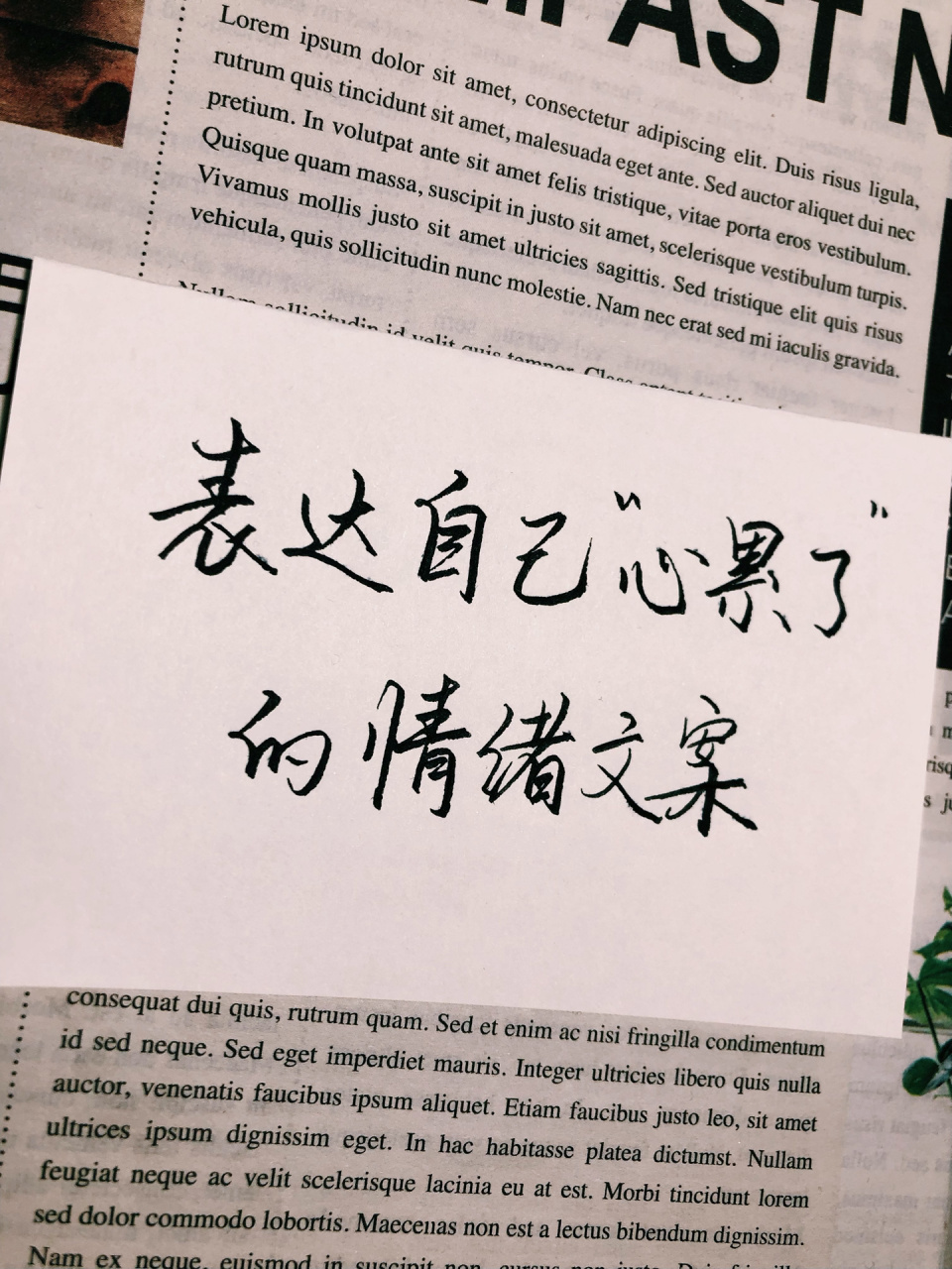 表达自己"心累了"的情绪文案