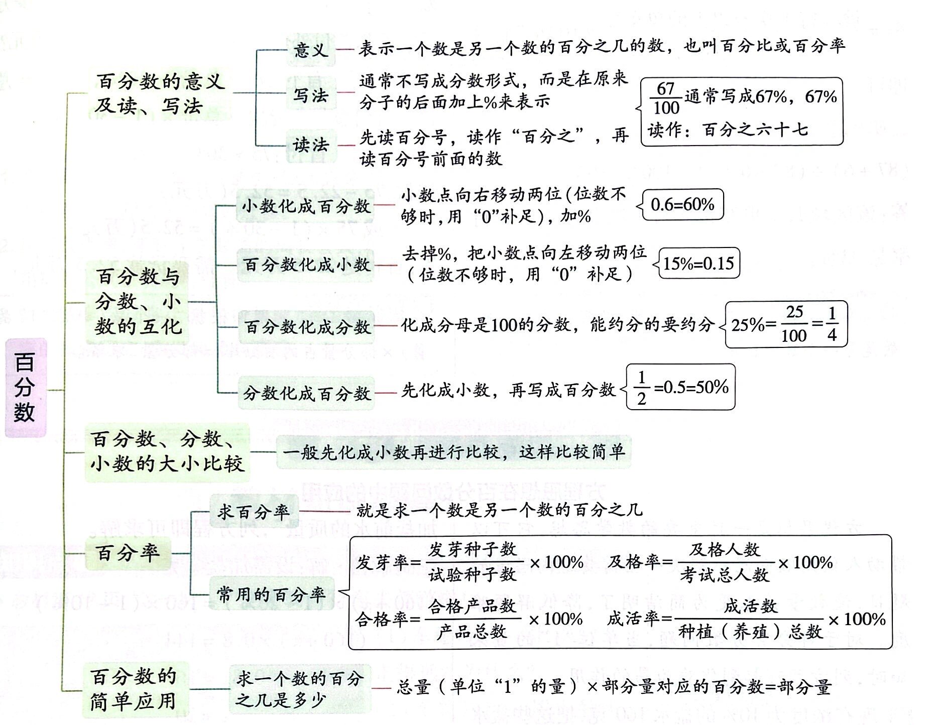 百分数总结思维导图图片