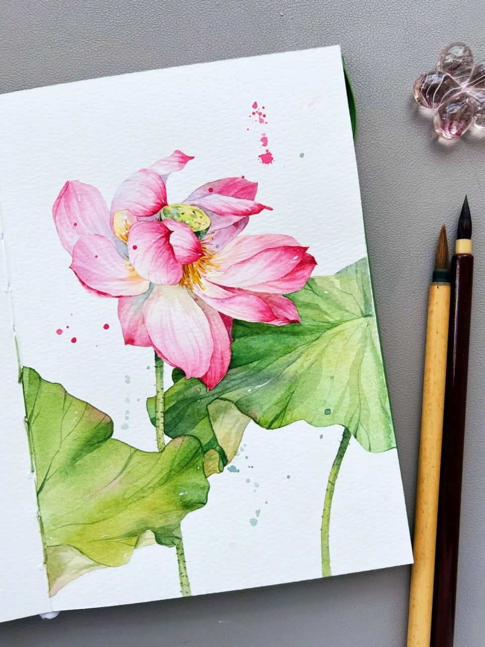 水彩荷花|含步骤和线稿 再一次安排,夏天就要画荷花呀!