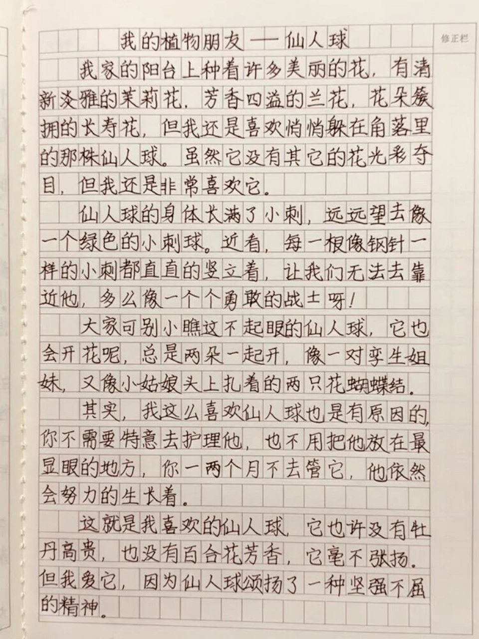 关于仙人球的作文图片