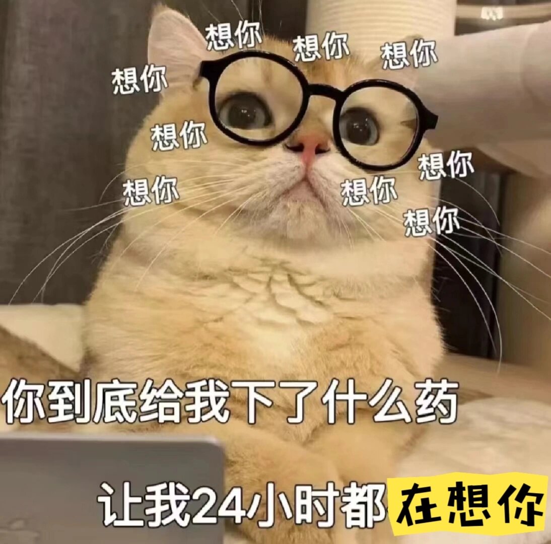 撩男人猫咪表情包分享给你们