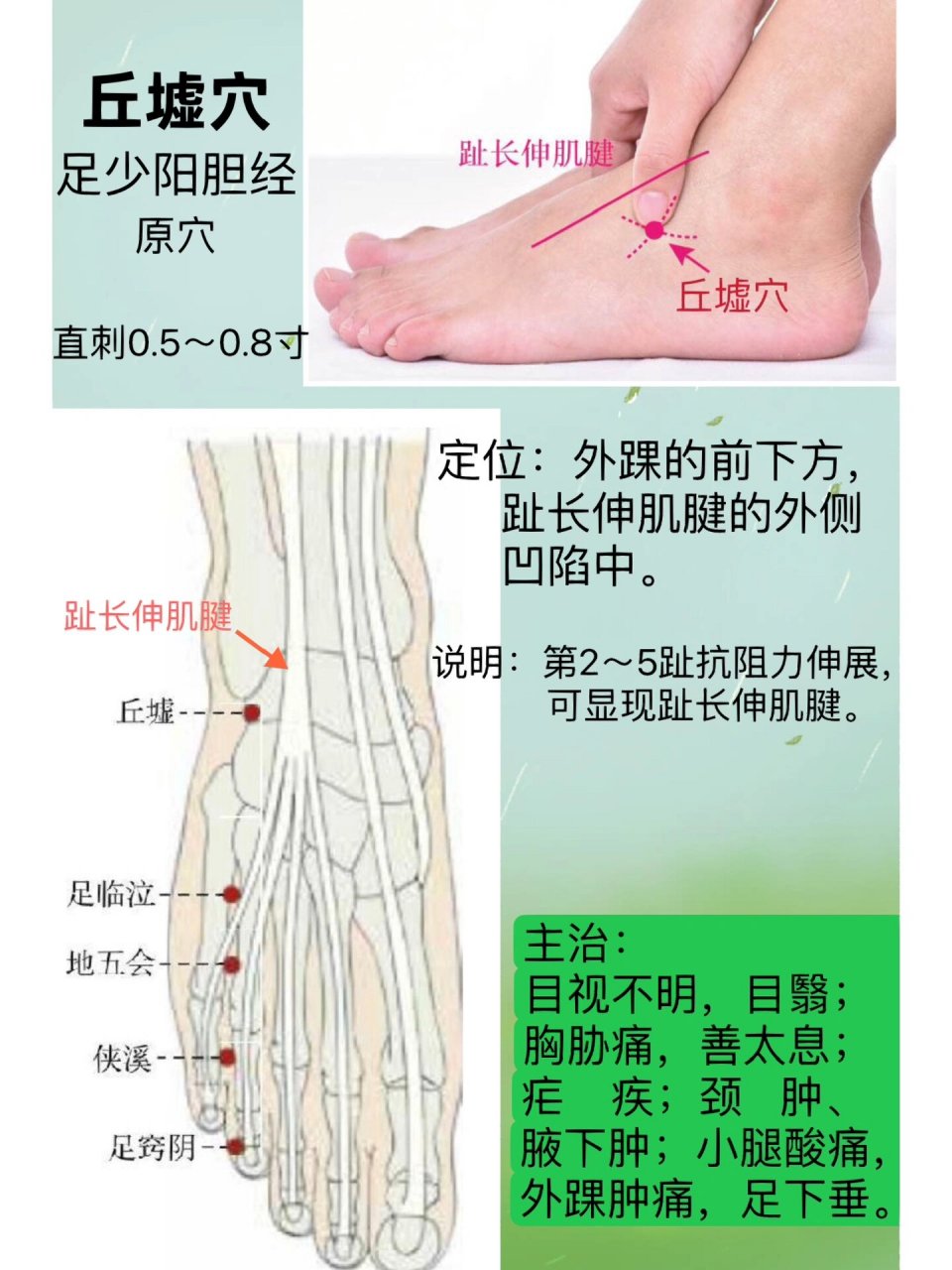 丘墟的准确位置与功效图片