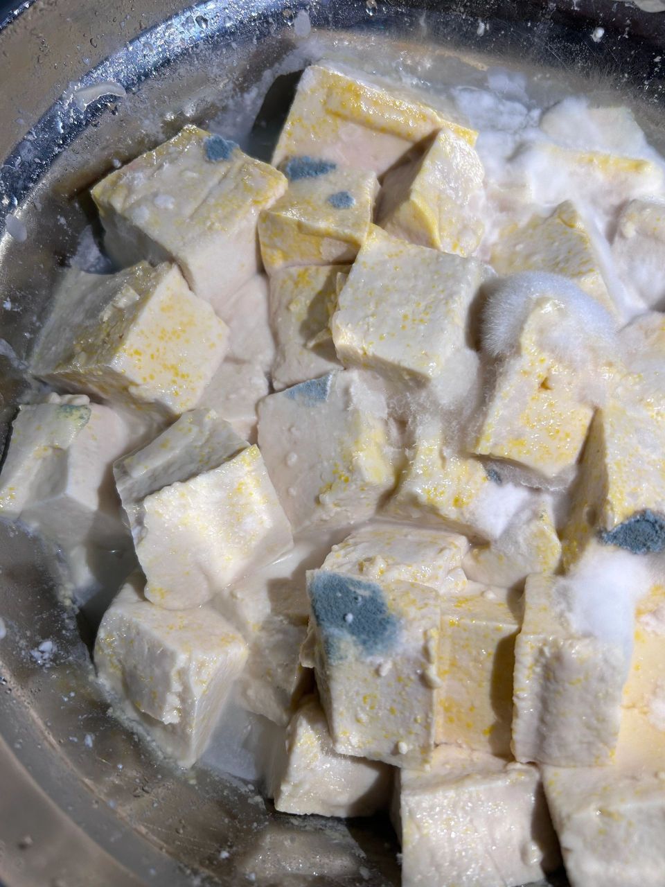 豆腐乳发酵失败的图片图片