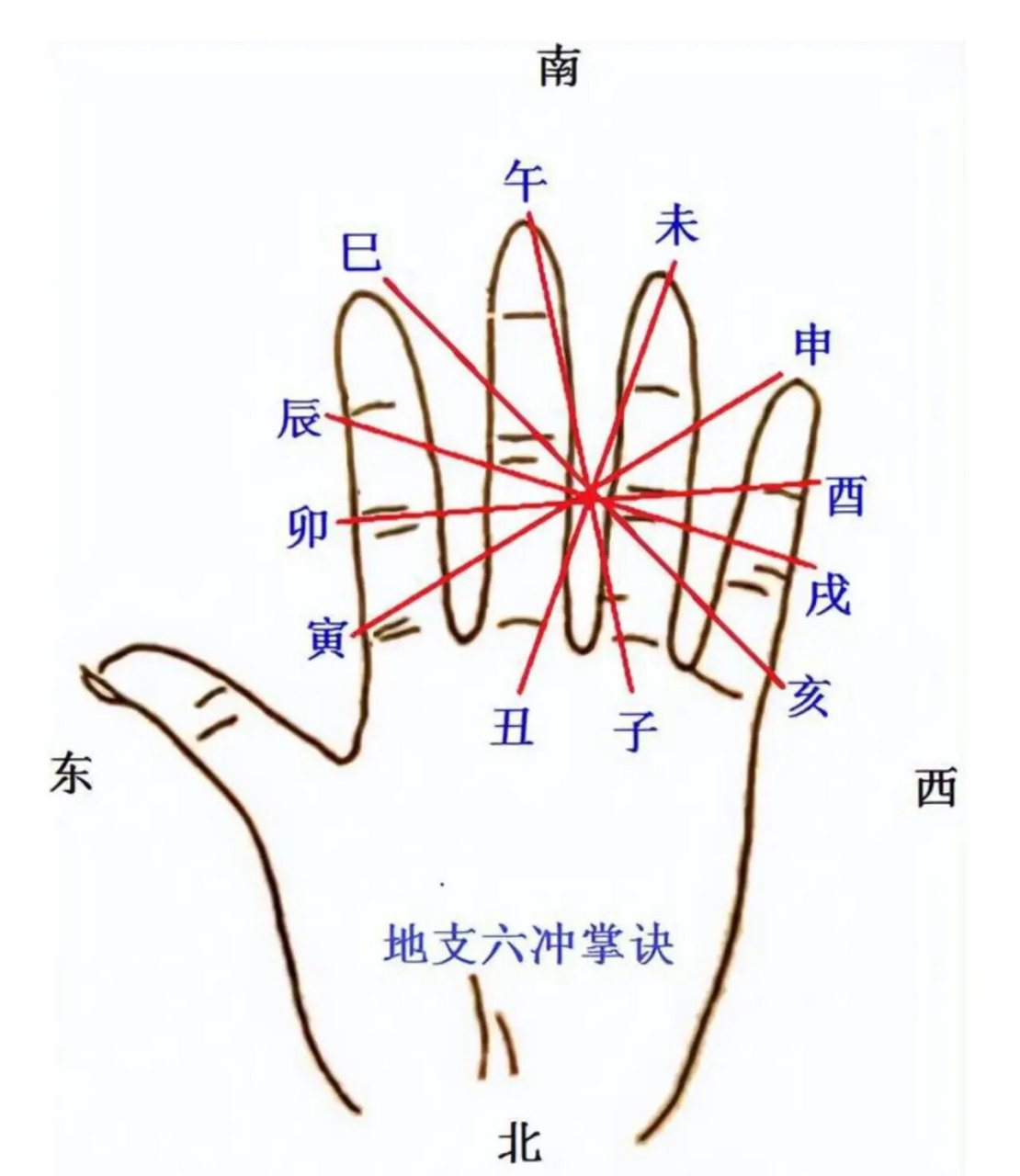 十二地支掌位图图片