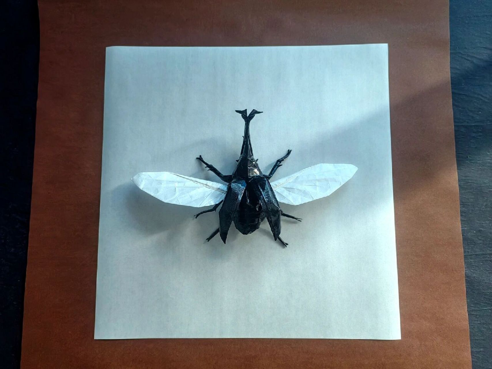 【折纸】飞行独角仙 设计:加藤 折拍:踏晨 用纸:42cm方形牛皮纸 折了