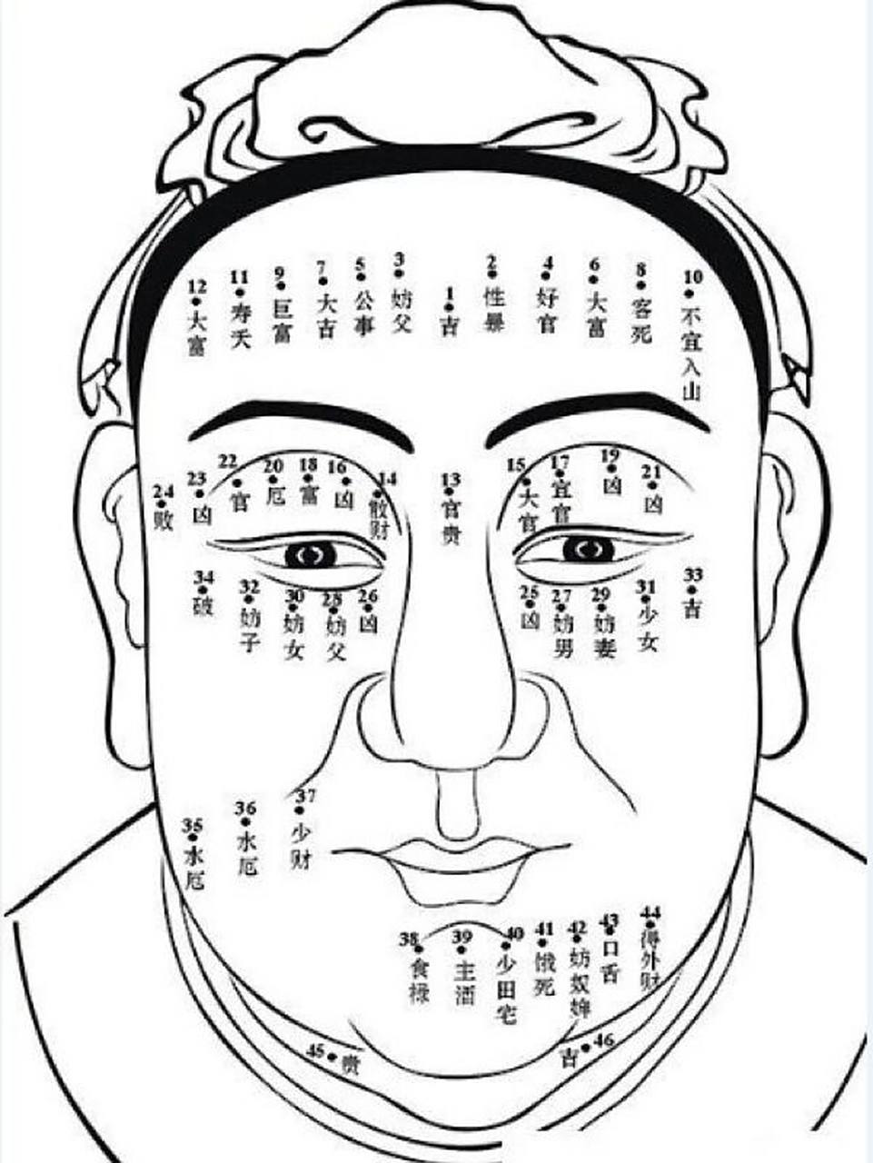 左边的眉毛长了痣,是跟佛有缘的 面向学里,把眉毛当中的部位叫做"朋友