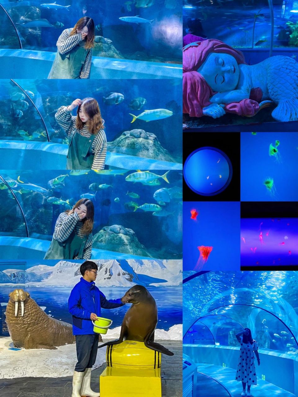 南京海底世界游玩全攻略73跨年夜好去处7215 一年四季都会来的