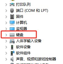 为什么电脑输入不了字