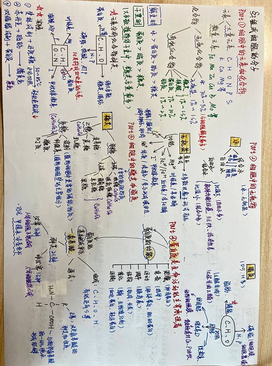 高中生物必修一思维导图 第二章 组成细胞的分子 这章内容稍微有点多 