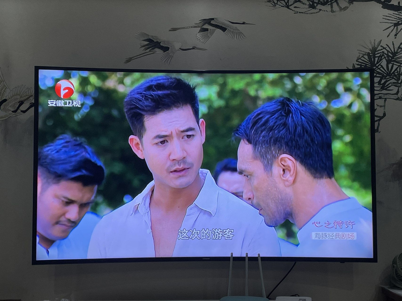 以前的安徽卫视好像回来了 小时候的安徽卫视就是泰剧的天下 中间不