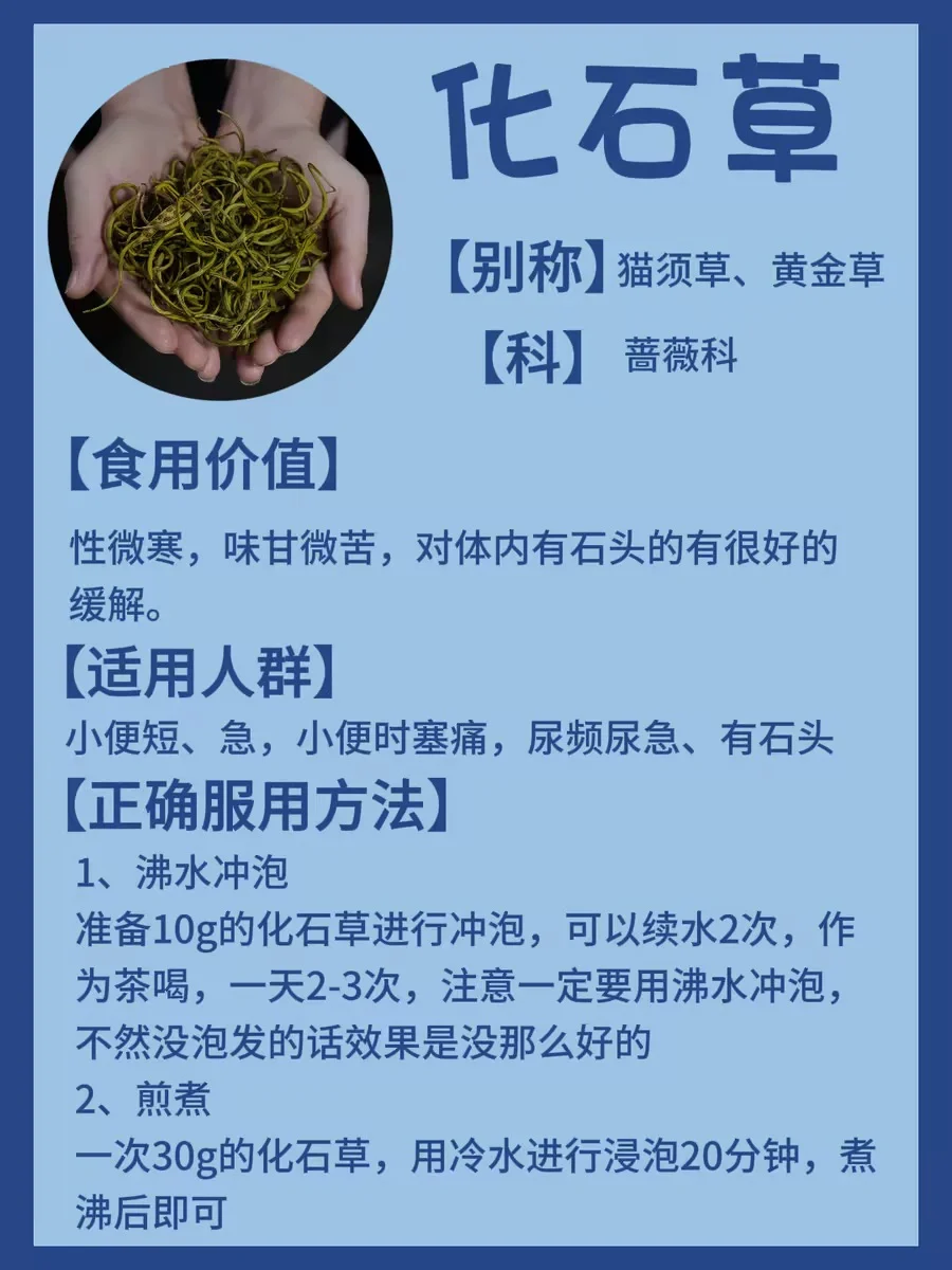 化石草,茶如其名,每日一杯身体舒畅!