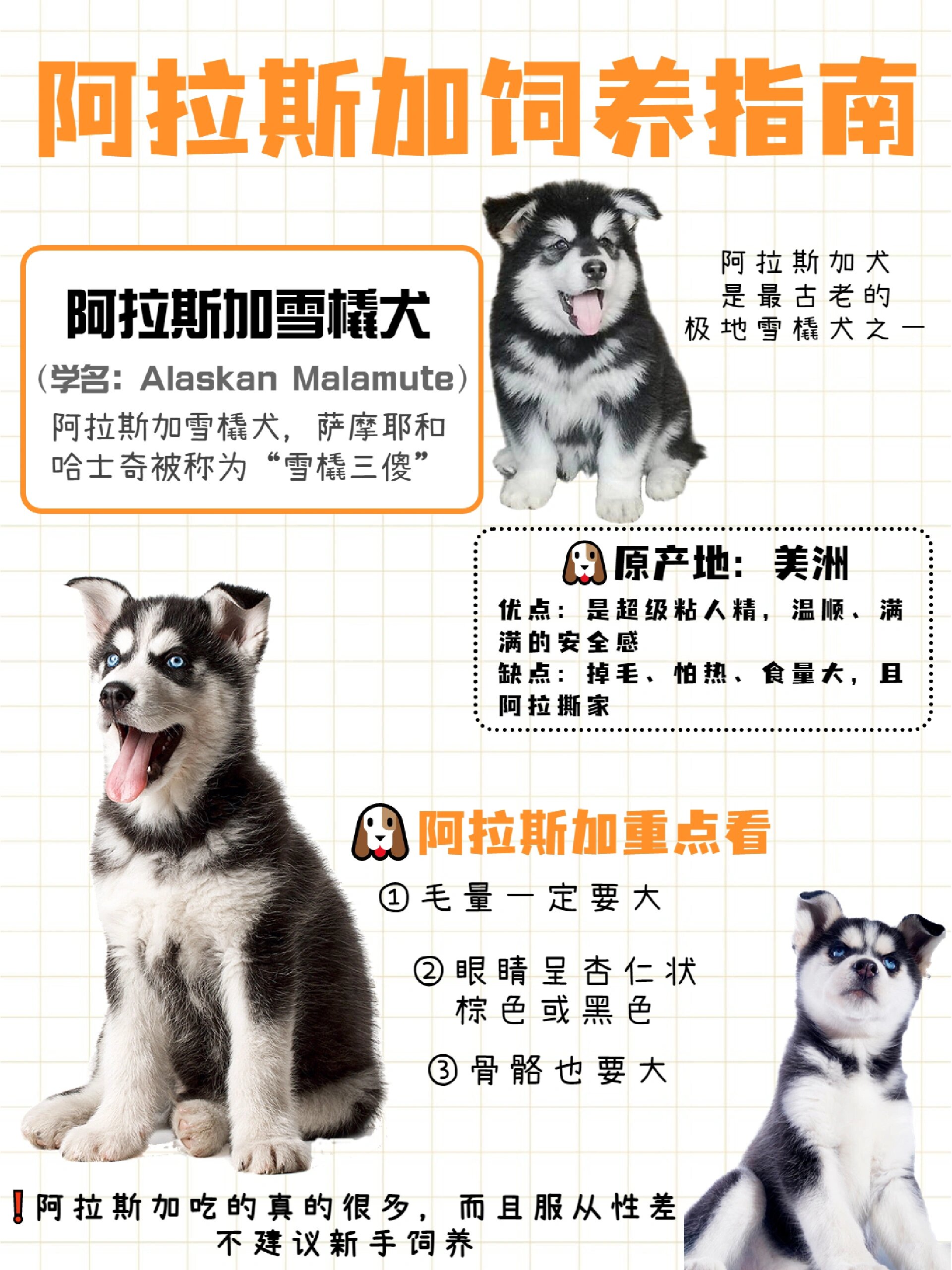 卖出阿拉斯加要交税吗知乎