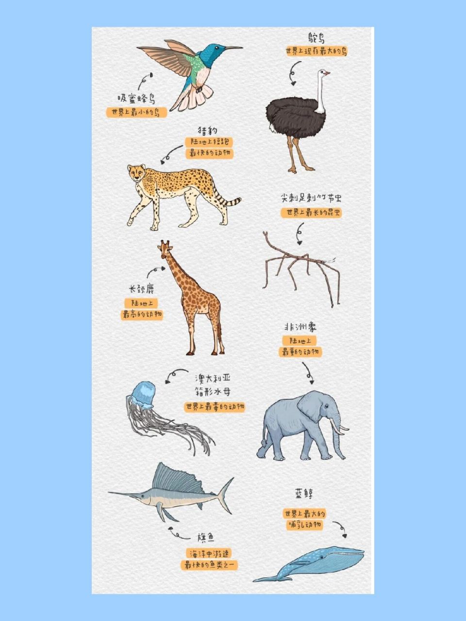 "世界之最"动物图鉴