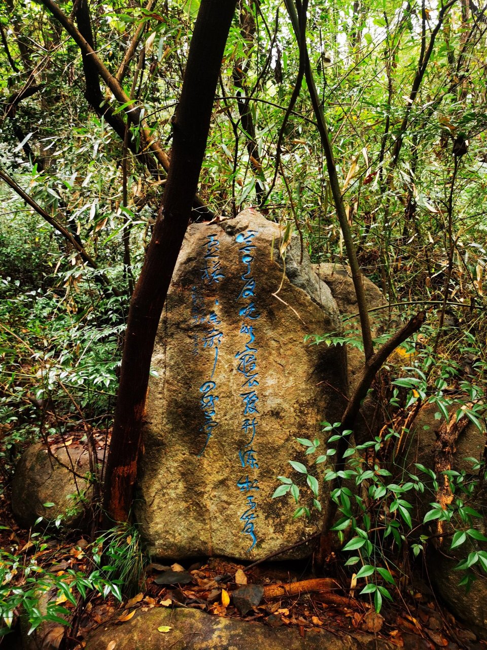 皋亭山景区游玩攻略图片