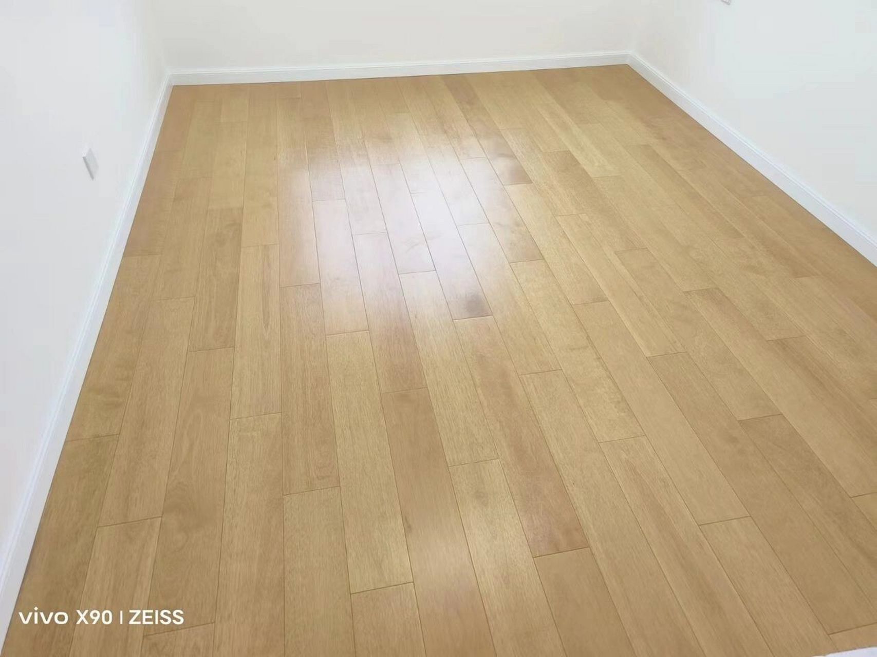 纳托山榄~金秋 纳托山榄俗称金丝檀木,木材生长周期长密度高耐用,抗