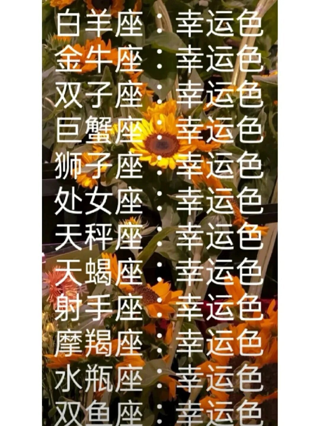 十二星座幸运色