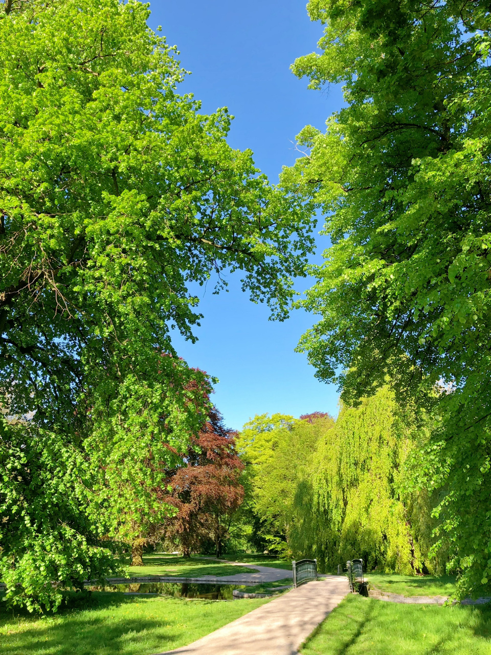 树林郊外                   #郊外