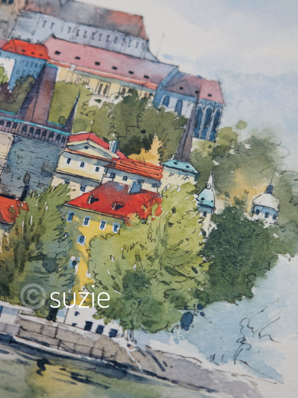 还是迷人的红屋顶 继续我书里的内容分享