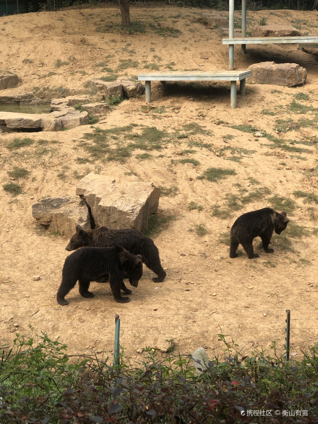 扬州最大的野生动物园