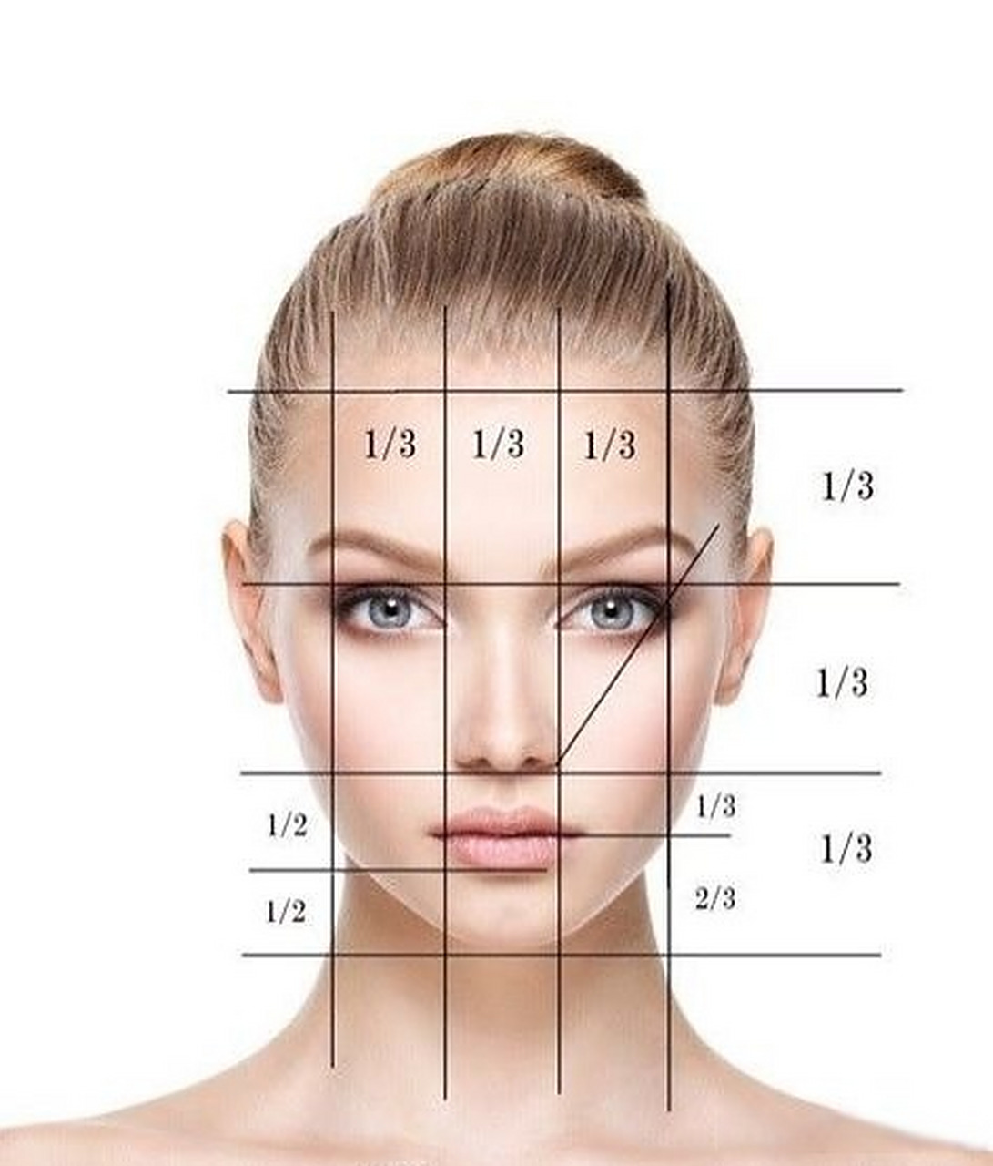 在面部美学三分法则中,把面中部眼睛到鼻尖之间的区域称为中庭.